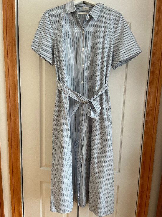 Aritzia Dresses & Skirts - Aritzia Eleta Poplin Dress